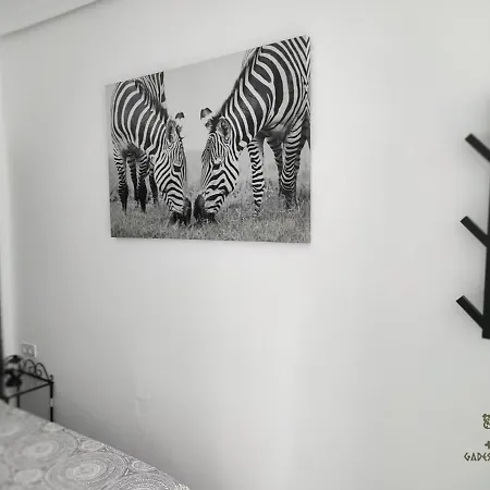 Homestay Gades Cadiz